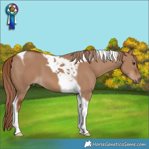 Horse Color:Red Dun Tobiano