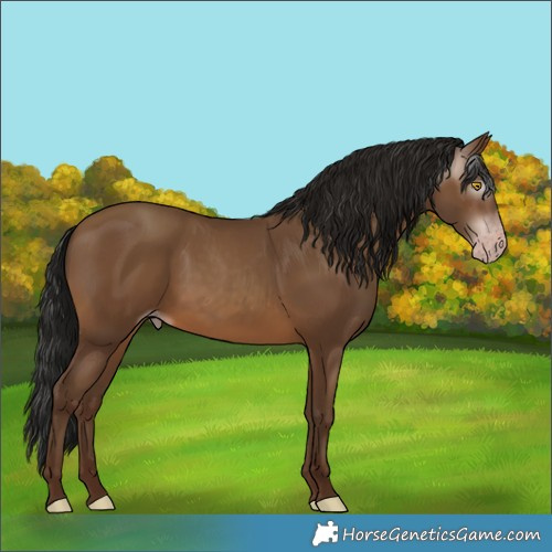 Horse Color:Gray Amber Champagne