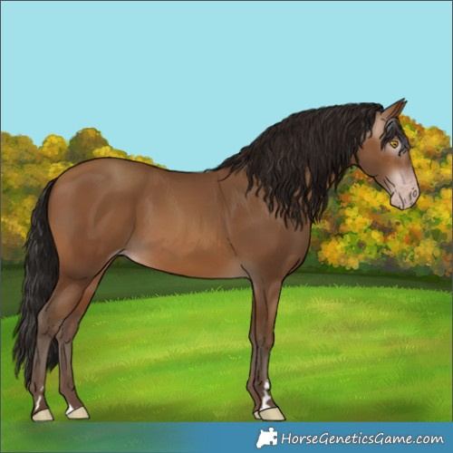 Horse Color:Gray Amber Champagne