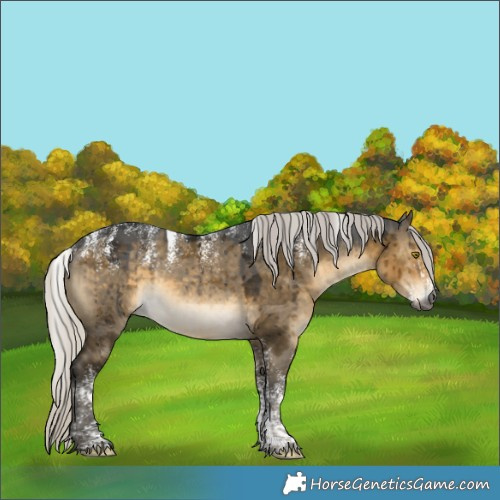 Horse Color:Powder White Gray Silver Buckskin Dun Brindle 