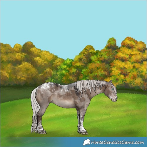Horse Color:Powder White Silver Brown Dun Merle 