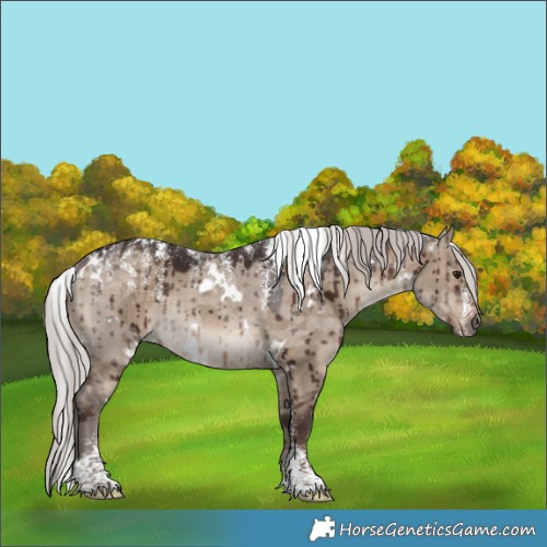 Horse Color:Powder White White Spotted Silver Brown Dun Merle Brindle