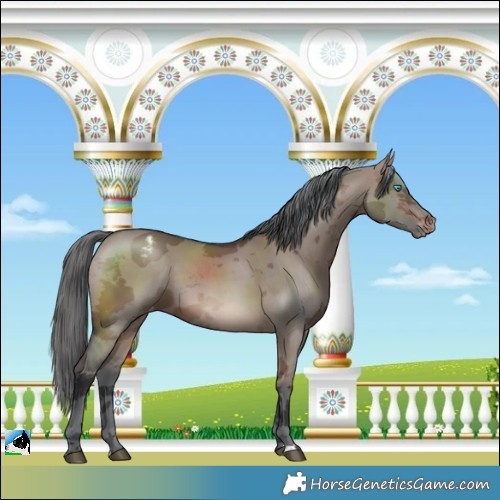 Horse Color:Brown Dun Merle Varnish 