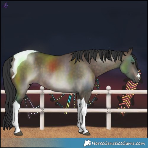 Horse Color:Brown Dun Tobiano 