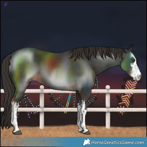 Horse Color:White Spotted Liver Chestnut