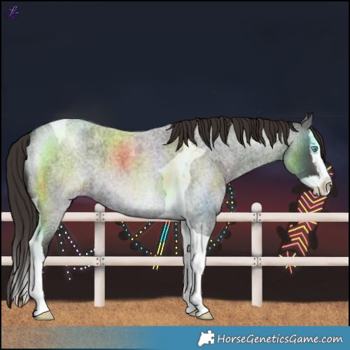 Horse Color:Liver Red Roan Splash Tobiano