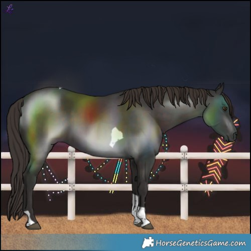Horse Color:Liver Chestnut Tobiano 