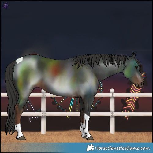 Horse Color:Liver Chestnut Tobiano