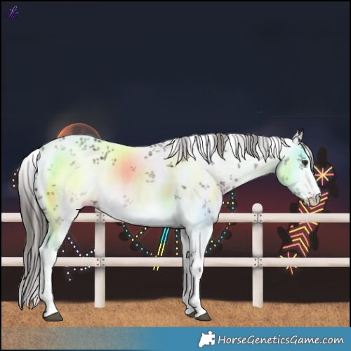 Horse Color:White Spotted Liver Chestnut Sabino 