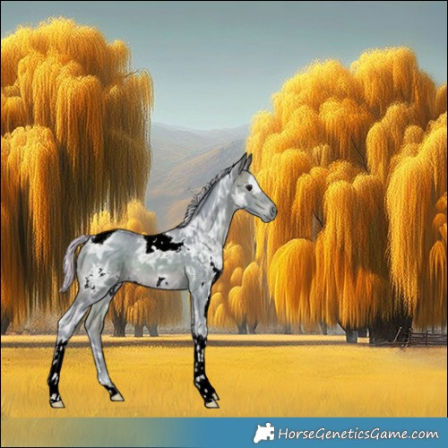 Horse Color:Watercolor White Spotted Silver Bay Ice Tobiano