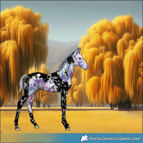 Horse Color:Watercolor White Spotted Silver Bay Ice Tobiano Blanket