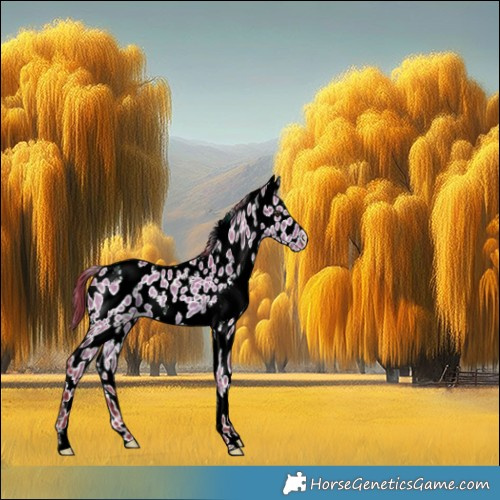 Horse Color:Watercolor White Spotted Liver Red Dun Leopard