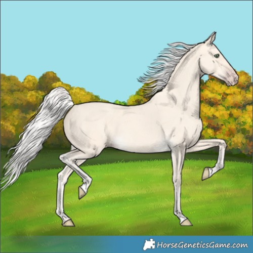 Horse Color:Silver Amber Cream Champagne 