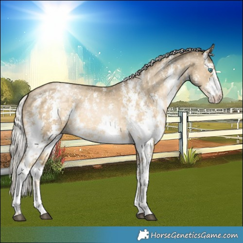 Horse Color:Silver Buckskin Snowdrop Sabino 