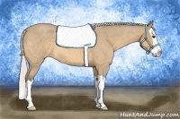 Horse Color:Silver Buckskin Roan Splash 