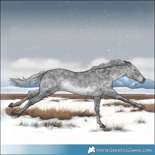 Horse Color:Silver Black Chinchilla Ice