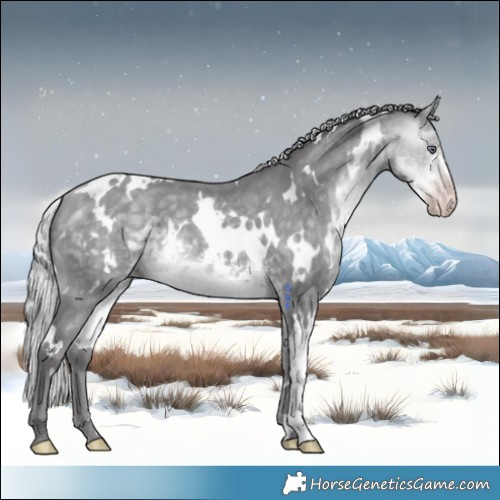 Horse Color:White Spotted Silver Sable Cream Champagne Chinchilla 