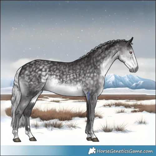 Horse Color:Silver Smoky Black Chinchilla