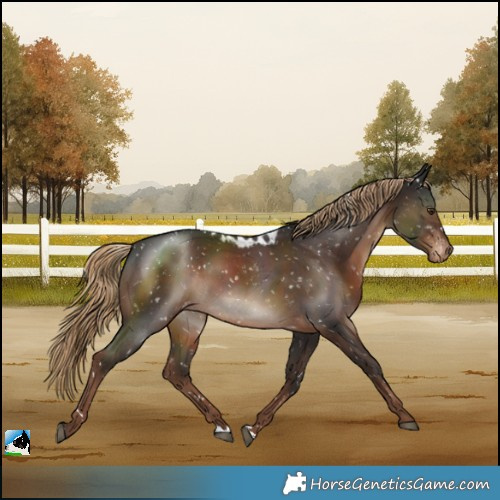 Horse Color:Liver Chestnut Skewed LP Spotted 