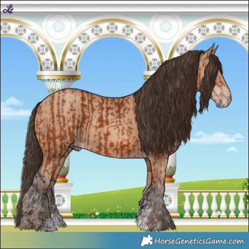 Horse Color:Bay Sabino Rabicano and Amber Champagne Sabino Rabicano