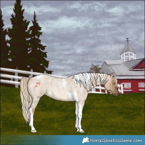 Horse Color:Chocolate Palomino Roan Dun Tobiano Rabicano