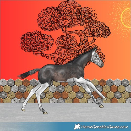 Horse Color:Platinum Brown Splash 