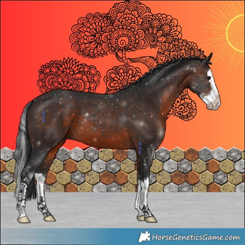 Horse Color:Brown Sabino Splash
