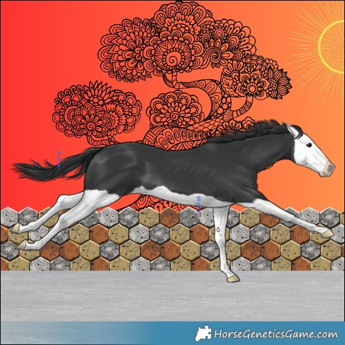 Horse Color:Platinum Black Splash 