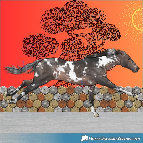 Horse Color:Platinum White Spotted Brown