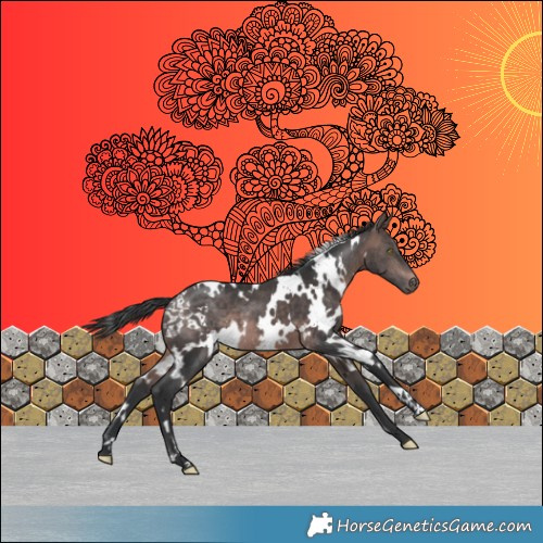 Horse Color:Platinum White Spotted Brown