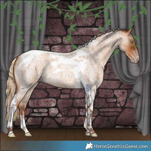 Horse Color:Gray Gold Cream Champagne Roan Tobiano 
