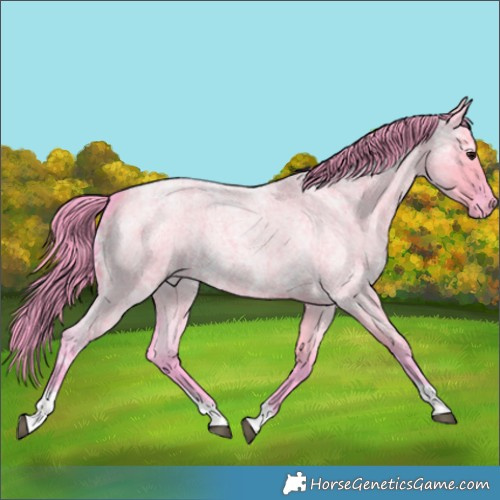 Horse Color:Watercolor Smoky Grullo Ice Roan Tobiano Varnish 