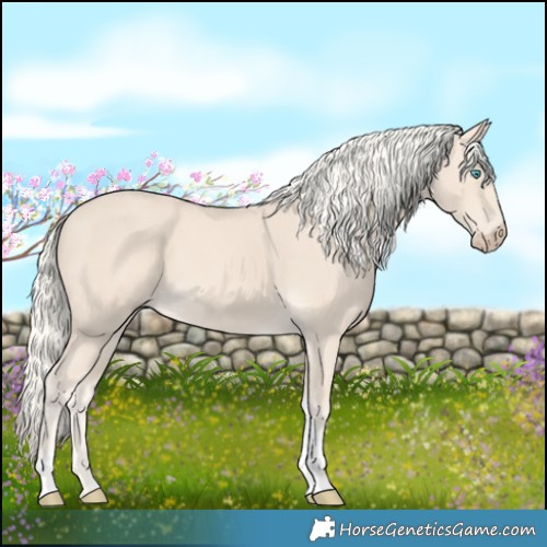 Horse Color:Cremello Tobiano