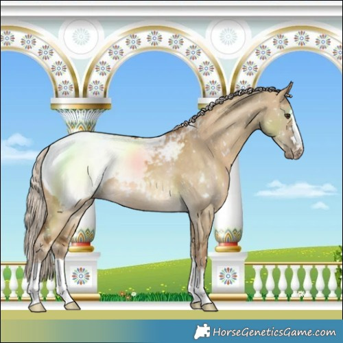 Horse Color:Chocolate Palomino Dun Snowcap 