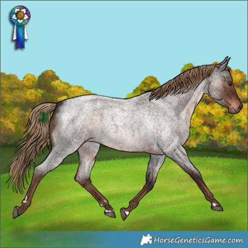 Horse Color:Liver Red Roan