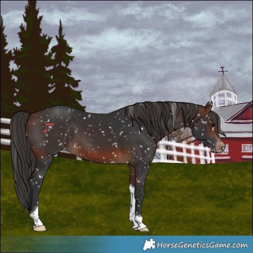 Horse Color:Brown Tobiano Snowflake Varnish