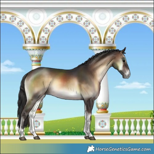Horse Color:Brown Onyx 