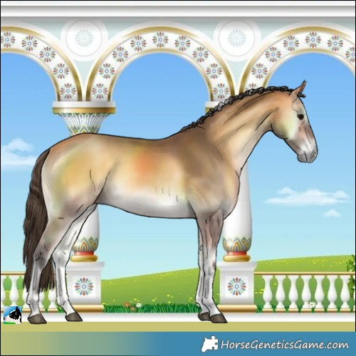 Horse Color:Buckskin Onyx Tobiano 