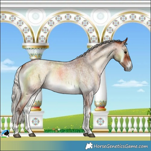 Horse Color:Silver Brown Roan Onyx 
