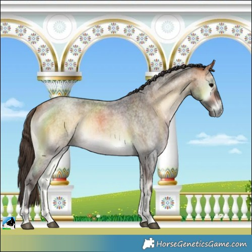 Horse Color:Buckskin Roan Onyx 