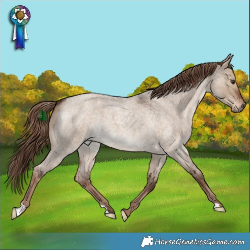 Horse Color:Liver Red Dun Roan