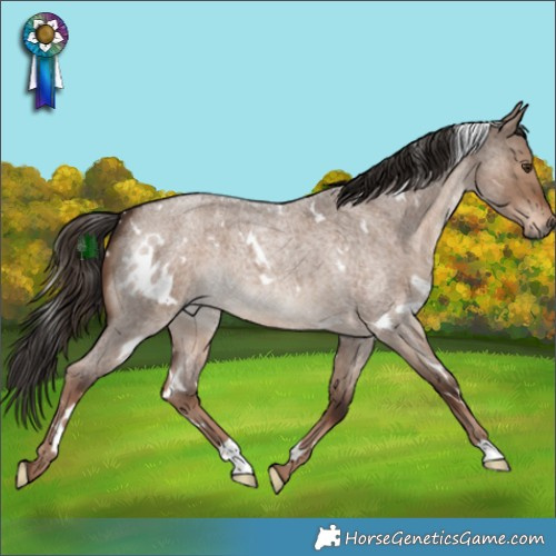 Horse Color:White Spotted Liver Red Dun Roan