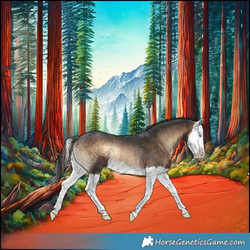Horse Color:Brown Onyx Splash Rabicano