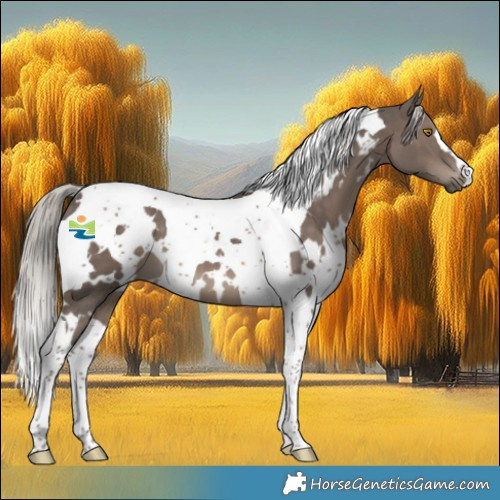 Horse Color:White Spotted Silver Black Tobiano 