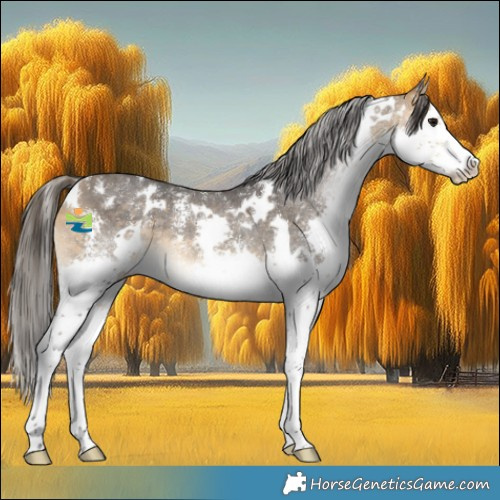 Horse Color:White Spotted Buckskin Sabino Splash