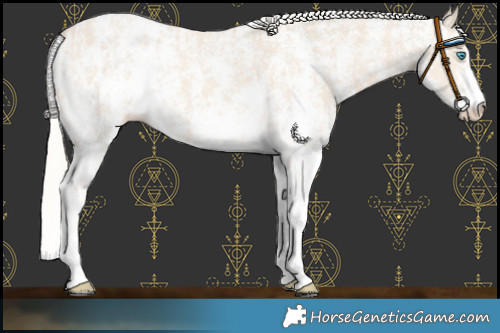 Horse Color:Cremello Sabino Varnish  and Cremello Sabino Blanket 