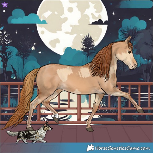 Horse Color:Red Dun  and Red Dun 
