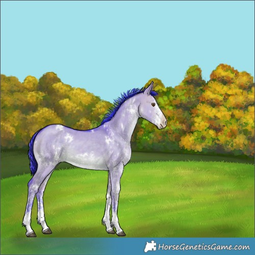 Horse Color:Watercolor White Spotted Brown Dun 