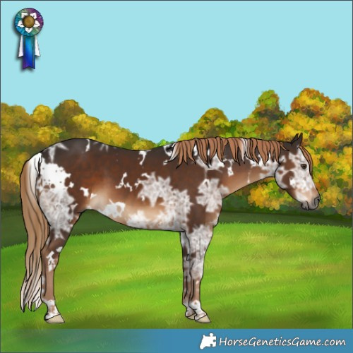Horse Color:Gray White Spotted Liver Chestnut Ice 