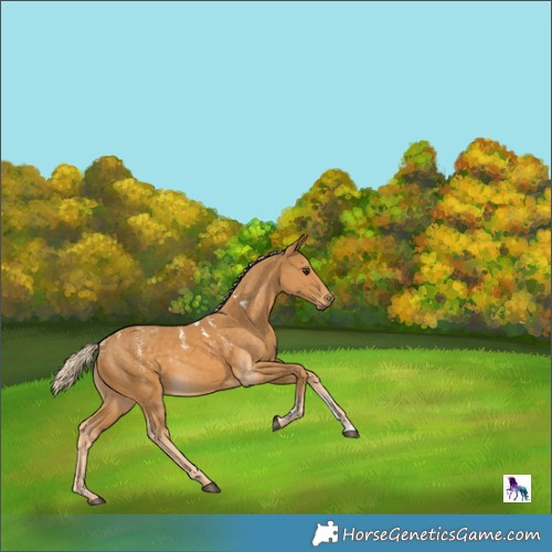 Horse Color:Powder White Palomino